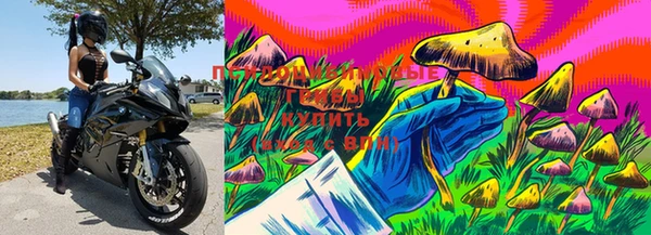 бошки Абдулино