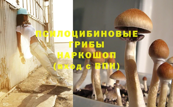 PSILOCYBIN Пересвет